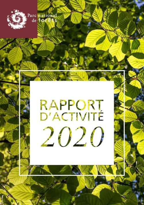 Rapport d'activité 2020