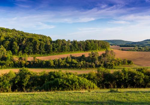 Paysage Philippe Chardon