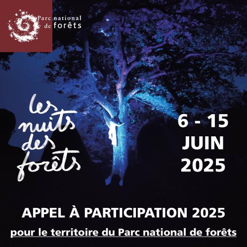 AMI NDF 2025