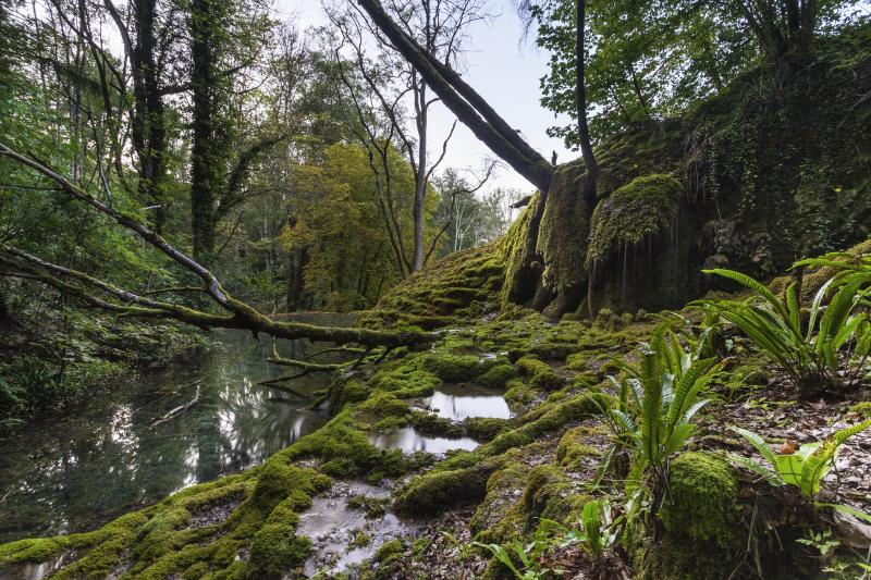 Source d'eau