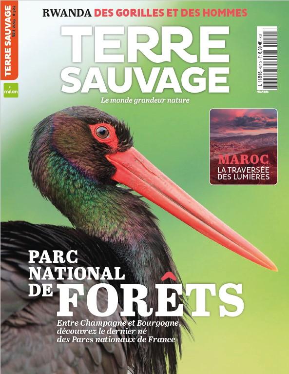 Terre sauvage