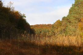 Marais de Chalmessin