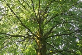 img_20220619_113546.jpg