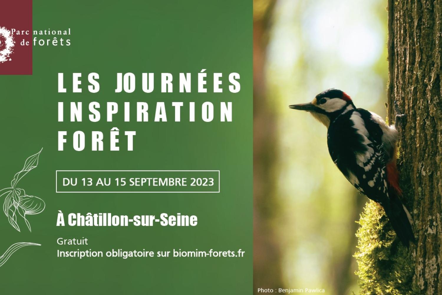 journées inspiration forêt