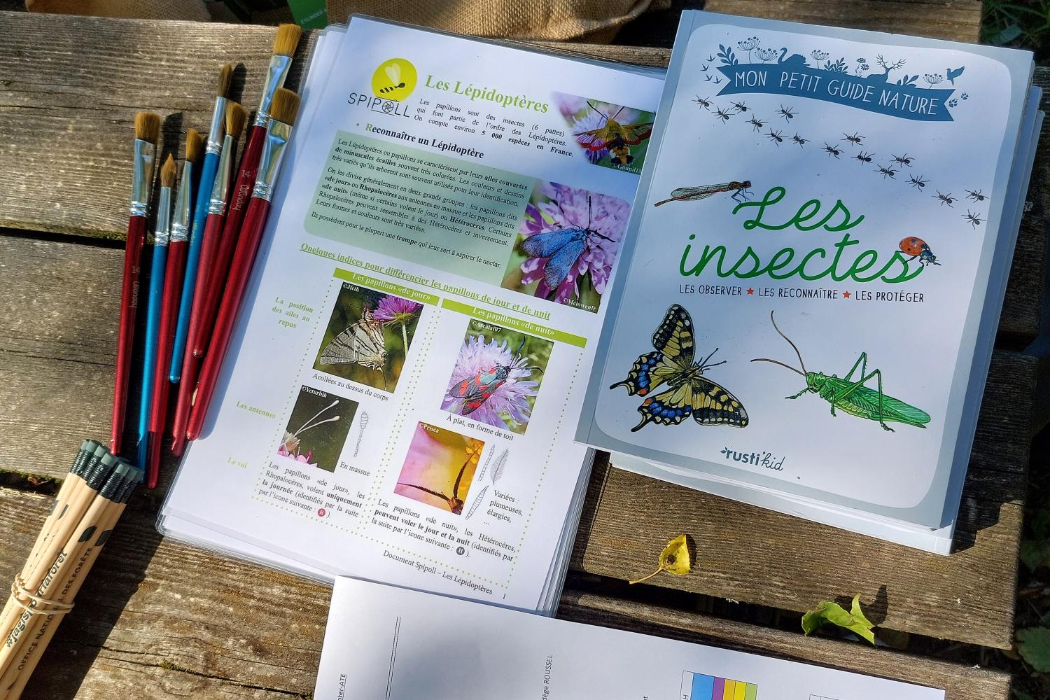 Atelier insectes