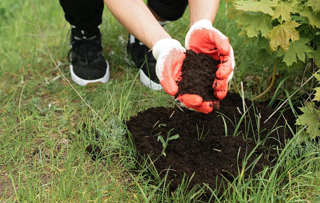 Compost