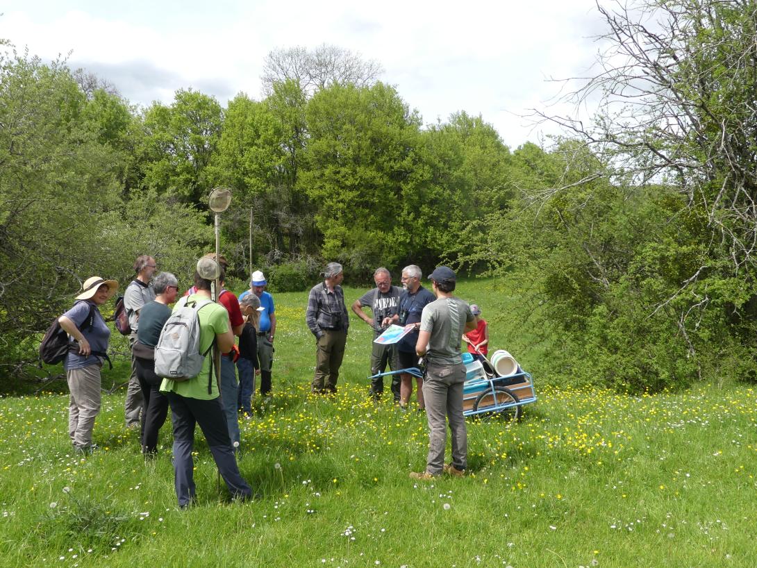 Sortie nature avec un groupe de gens en forêts lors d'une sortie avec le Parc national de forêts