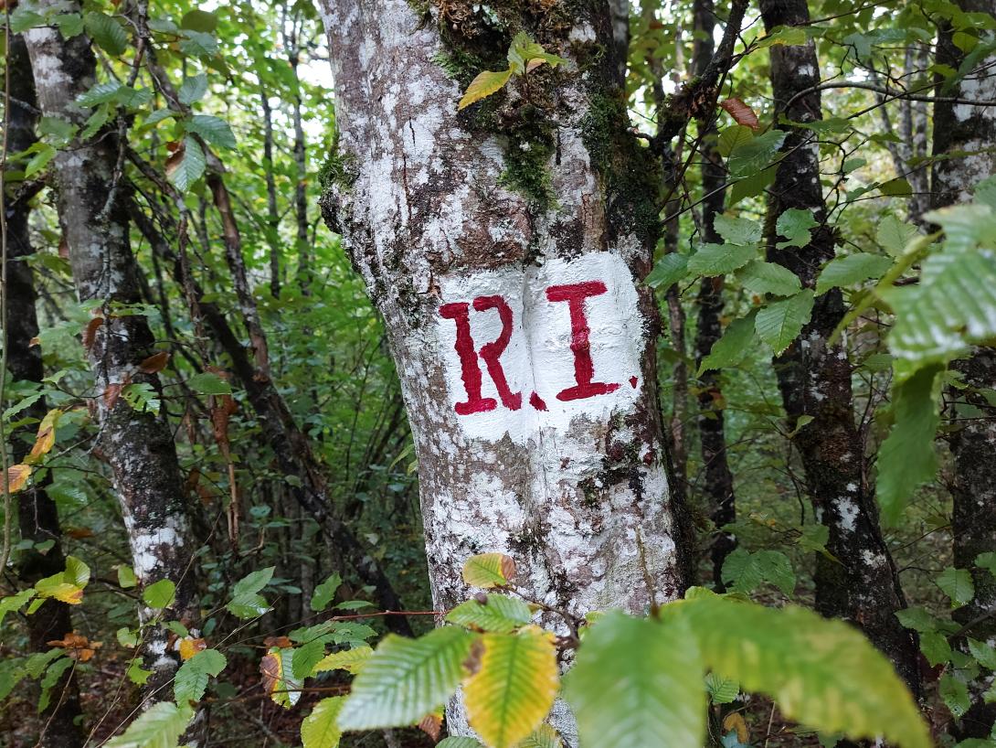 RI